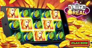 dbbet apk